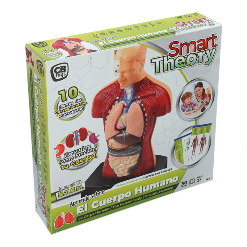 JUEGO CUERPO HUMANO