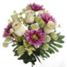 RAMO GERBERA CAPULLOS LILAS 5446