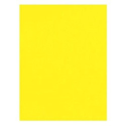 CARTULINA 50X65 AMARILLO CANARIO