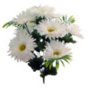 RAMO GERBERAS BLANCO