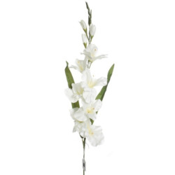 VARA GLADIOLO BLANCO 6138