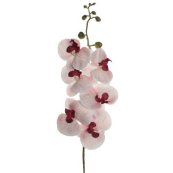 VARA ORQUIDIA TACTO ROSA 7605