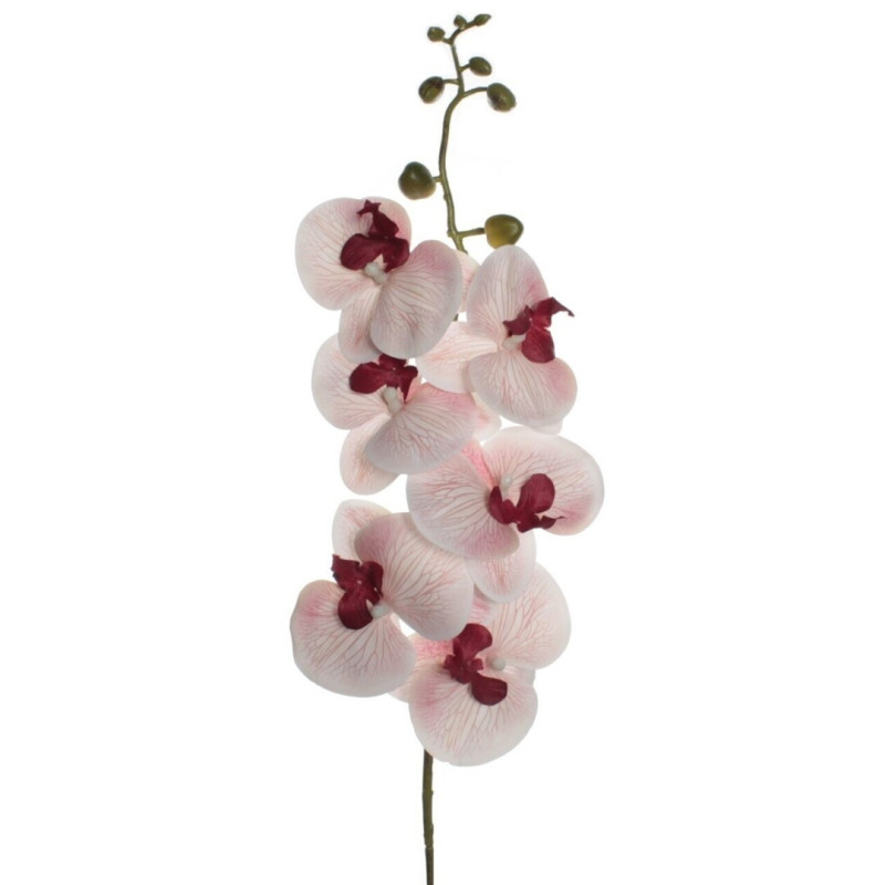 VARA ORQUIDIA TACTO ROSA 7605