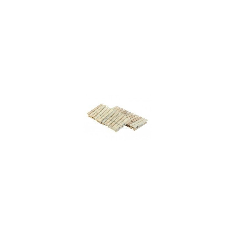 PINZAS ROPA MADERA LOTE 24 U